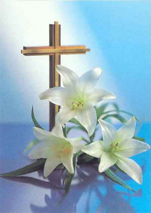 Easter Lilies Flowers